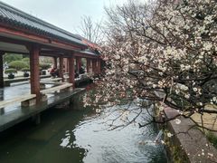 -浙江省博物馆(孤山馆区)