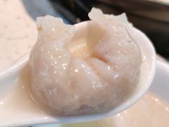 顺德鱼皮饺-顺德公广东猪肚鸡·煲仔饭(白石洲店)
