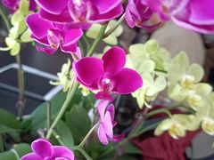 -荣食方(兴华路店)