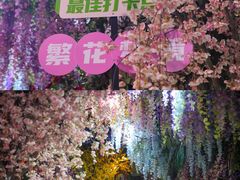 -正佳雨林生态植物园