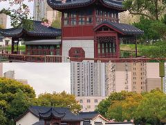 -和平公园