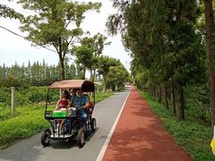 -上海长兴岛郊野公园