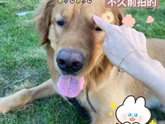 -钟山体育运动公园