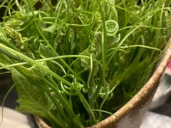 丝瓜苗-新草堂锅物料理(泉城路店)