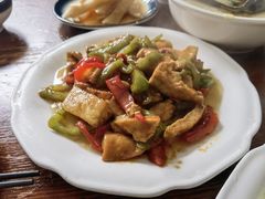 -大树下饭店(春晓镇慈岙社区卫生服务站南)