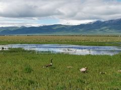 -花湖生态旅游区
