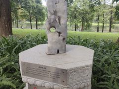 -东莞植物园