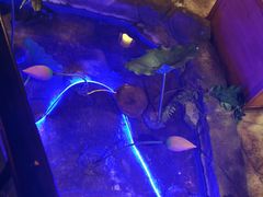 -城墙拐拐火锅(三峡广场黑金冠店)