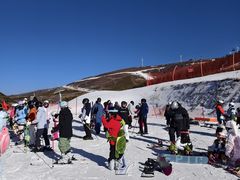 -东方巨龟苑景区