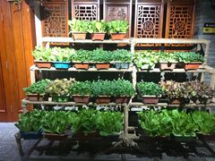 -和院老火锅铜锅烧烤海鲜(朱雀大街店)