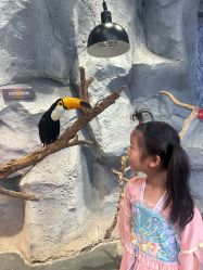 -Zoolung Zoolung动物主题公园(海信广场店)
