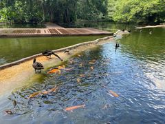 -海南热带野生动植物园