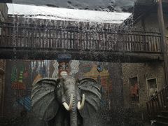 -北京呀路古热带植物园