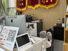 -四月宠物医院·猫专科·心脏专科·内科(转塘店)