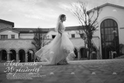 点击看大图 -费拉摄影(天廊T66店)