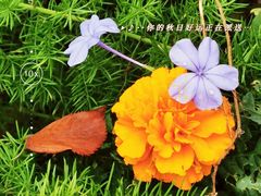 -苏州河梦清园环保主题公园