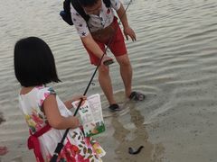-查汶海滩