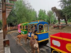 -北京鹿世界主题园