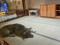 -大江户·温泉洗浴(浑南店)