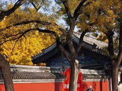 -北京国子监胡同