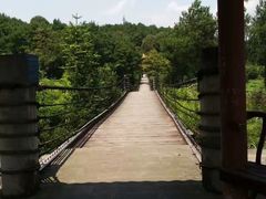 -铁山坪森林公园