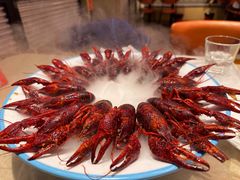 -杨氏青龙虾·羊蝎子(珠江路店)