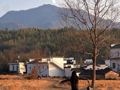 -塔川景区
