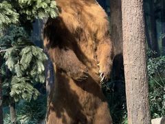 -陕西自然博物馆