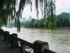 -运河游船(武林门码头)