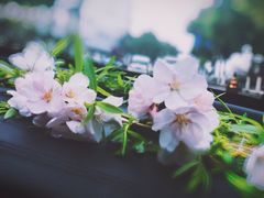 -南山风景名胜区