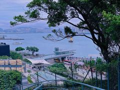-讯号山花园