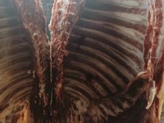 -聚味罗记大排檔·烧烤·鲜鱼杂·甲鱼煲(科学馆店)
