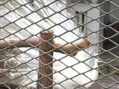 -重庆动物园·东二门售票处