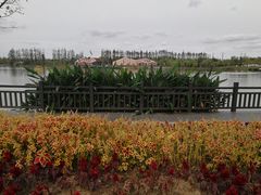 -上海长兴岛郊野公园