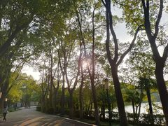 -尚湖风景区
