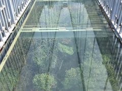 -石燕湖生态旅游景区