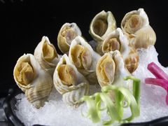 海螺刺身-阳光码头海鲜火锅(世纪大道店)