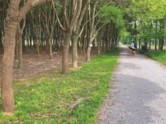 -嘉北郊野公园