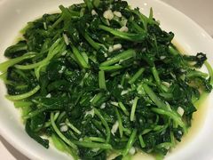 鸡毛菜-金春禧(北国商城店)