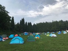 -武陵山森林公园