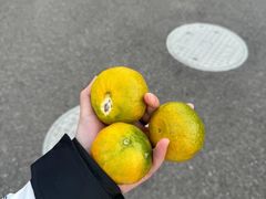 -从前慢海鲜面馆