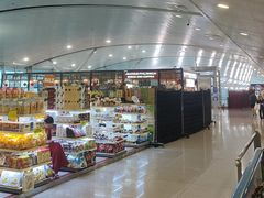 -胡志明新山一国际机场