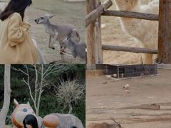 -泉州海丝野生动物世界