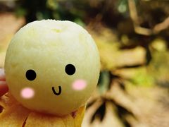 -塘栖枇杷特色园区