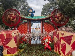 -上海迪士尼度假区