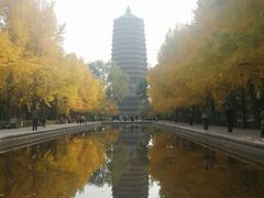 -玲珑塔公园