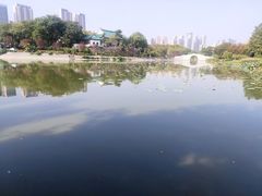 -月湖风景区
