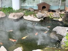 -罗红摄影艺术馆