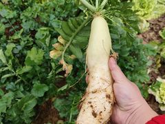 -呈贡滇池生态湿地公园