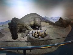 -国家自然博物馆